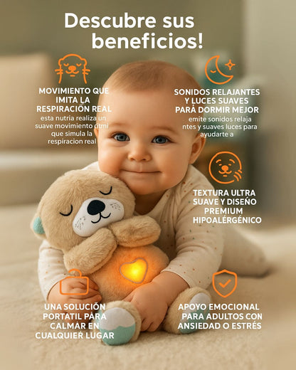 NUTRIA COMPAÑERO EMOCIONAL | 🦦Reduce estrés y ansiedad con respiración real💝