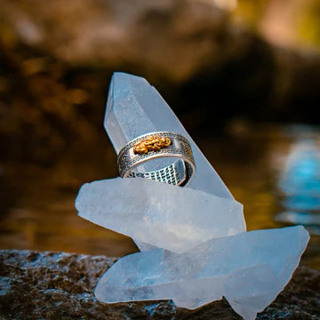 ANILLO FENG SHUI AJUSTABLE Atrae la Riqueza y Abundancia | FORJADO ARTESANALMENTE EN PLATA